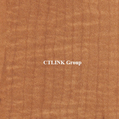 Sàn nâng kỹ thuật đục lỗ thông gió FS-PER1000